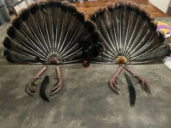 FanLok - Turkey Tail Preservation -RakAdx IMG 3805 jpg