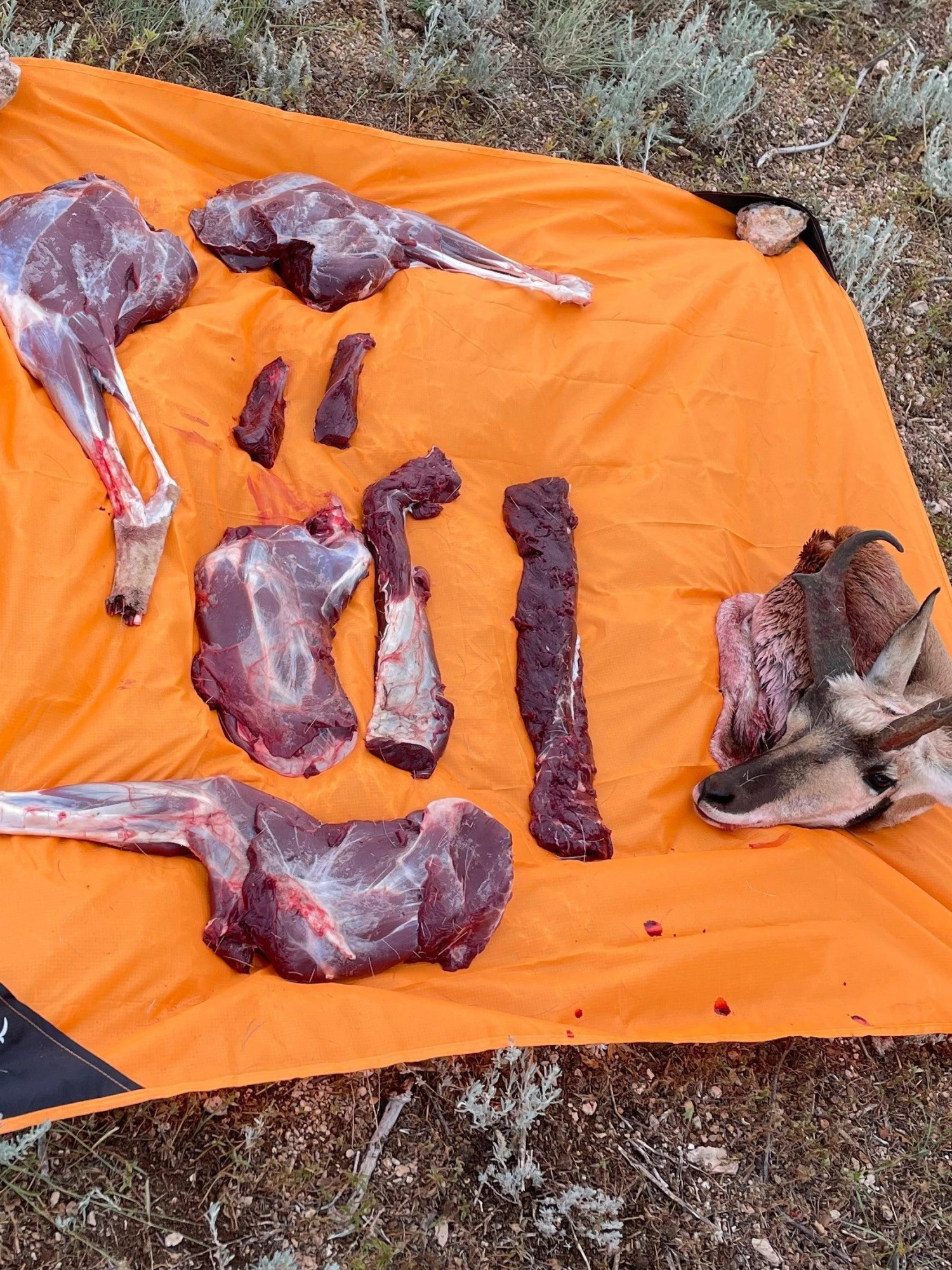 Kill 'N Pad - Field Quartering Ground Cover W/Stakes 5 Kill 'N Pad - Field Quartering Ground Cover W/Stakes - Image 3