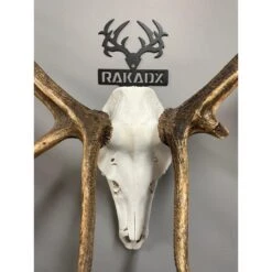 Rak Hooker Euro Skull Mount | 2 Colors (U.S. MADE) -RakAdx rak hooker euro skull mount 2 colors u s made gear rakadx 3