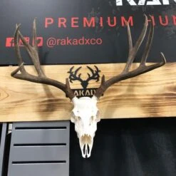 Rak Hooker Euro Skull Mount | 2 Colors (U.S. MADE) -RakAdx rak hooker euro skull mount 2 colors u s made gear rakadx 5