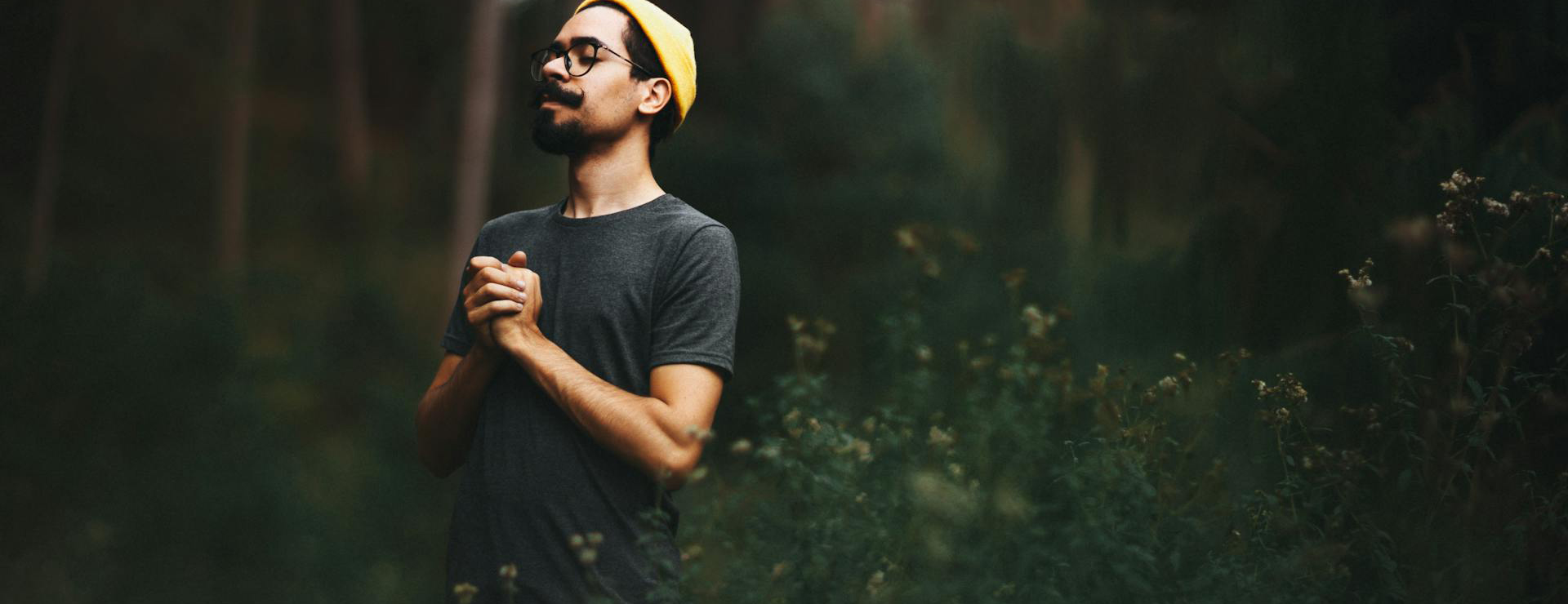 RakAdx 1 RakAdx -RakAdx banner 1